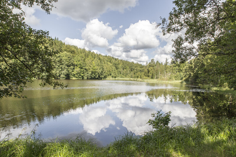 Ferienhaus mieten in Südschweden. Kontakt